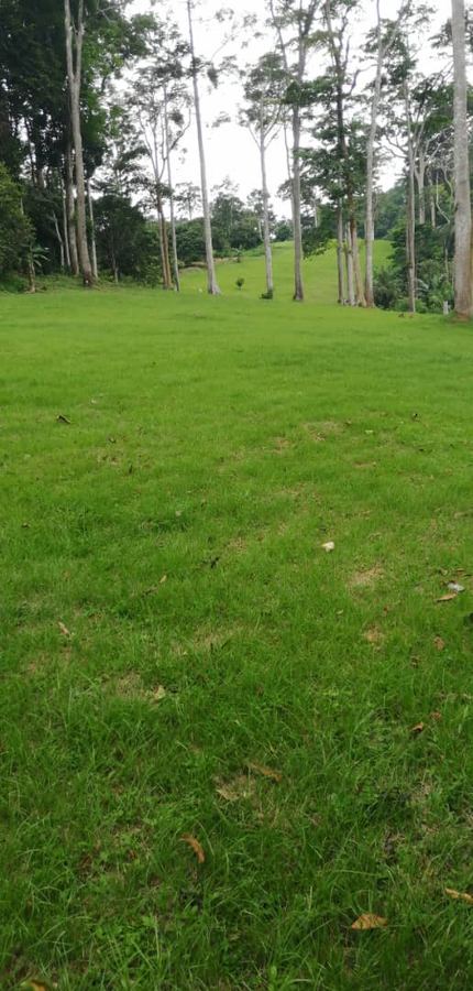 Fairway Nkoabe